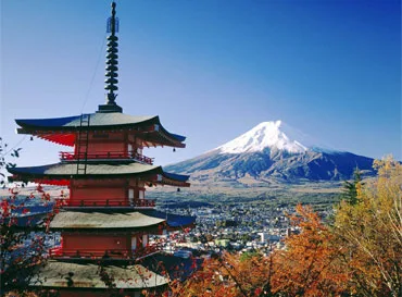 Trip Packages - 开云