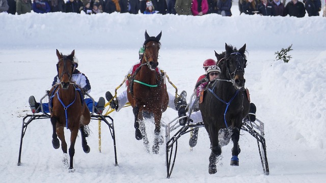 还令本就人 还令本就人