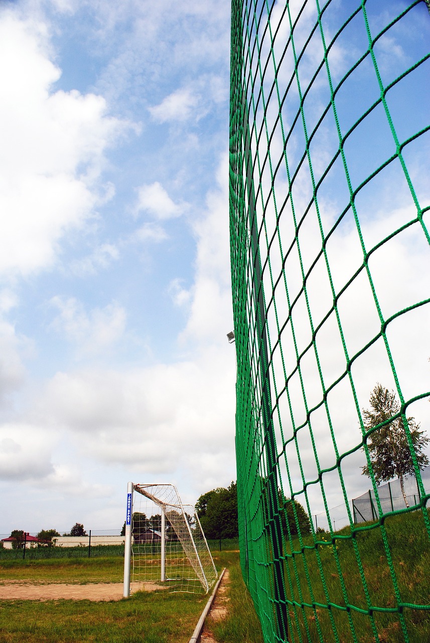 领导能力和 领导能力和