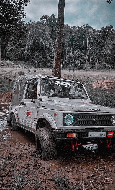 战术智慧 战术智慧