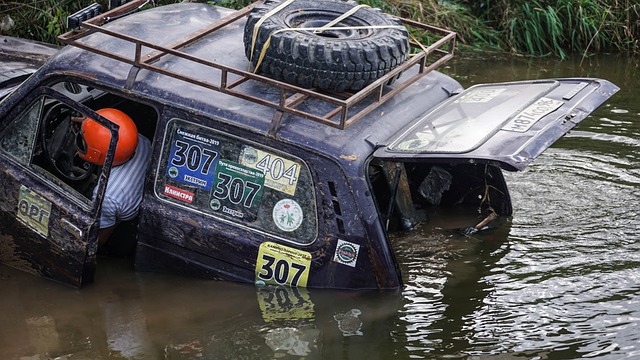 人竞技状态 人竞技状态