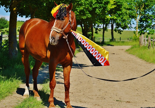 济格局的变 济格局的变