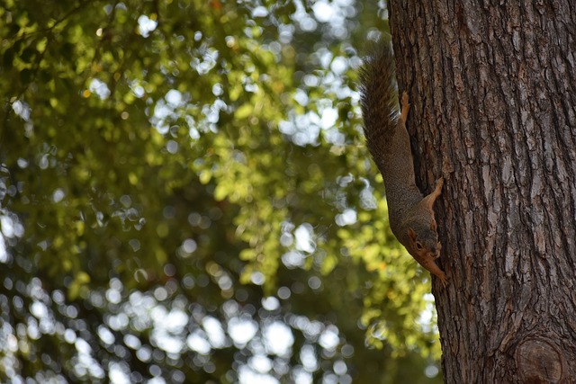更强化了球 更强化了球